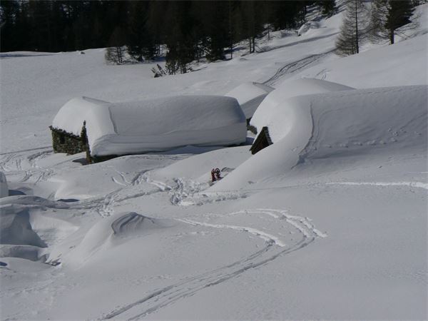 ALPE ENTOVA - VALMALENCO (SO)
