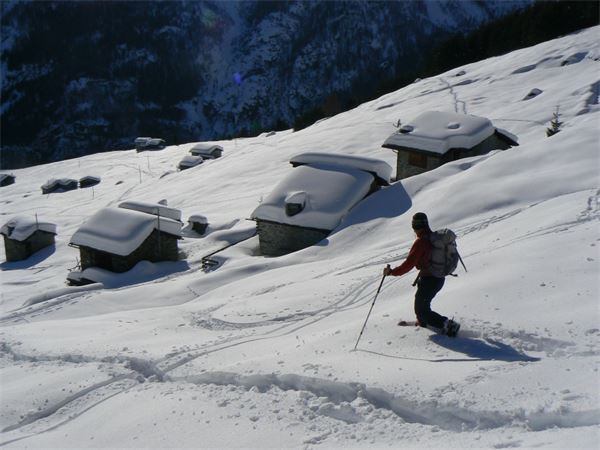 ALPE ENTOVA - VALMALENCO (SO)