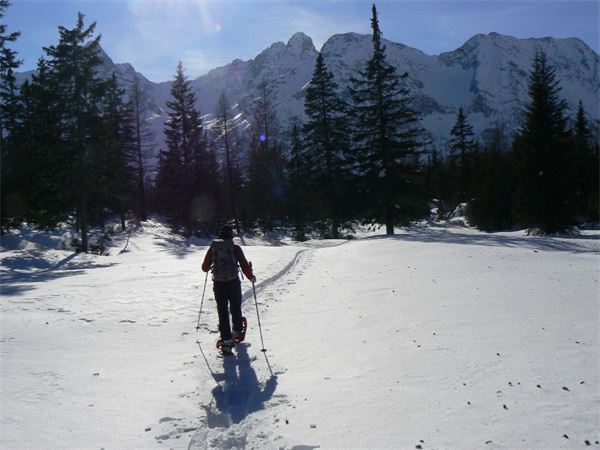 ALPE ENTOVA - VALMALENCO (SO)