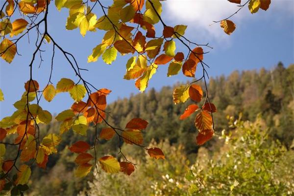 Val della Forcola – Val Chiavenna (SO