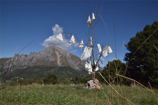 Alpinismo Giovanile Piani Resinelli (LC)