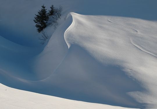 Piani d’Artavaggio (LC)