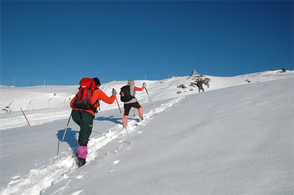 Piani d’Artavaggio (LC)