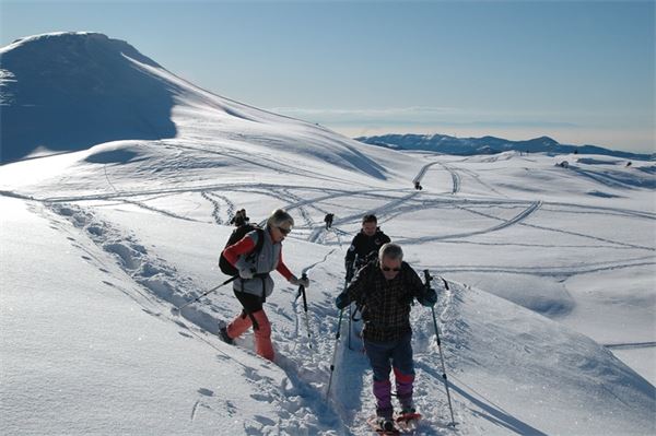 Piani d’Artavaggio (LC)