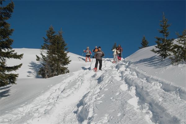 Piani d’Artavaggio (LC)