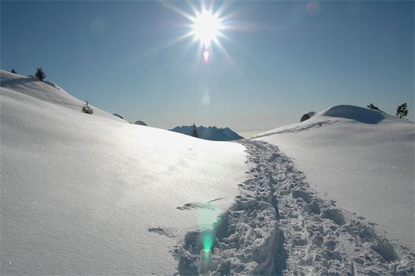 Piani d’Artavaggio (LC)