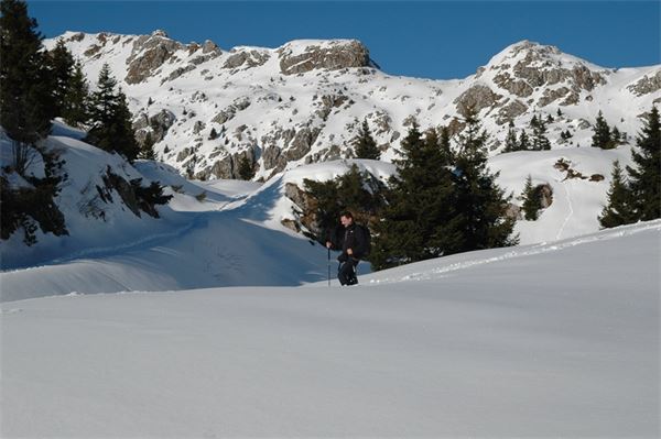 Piani d’Artavaggio (LC)