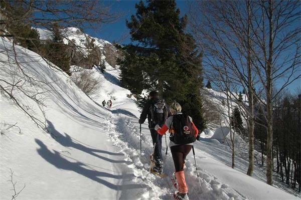 Piani d’Artavaggio (LC)