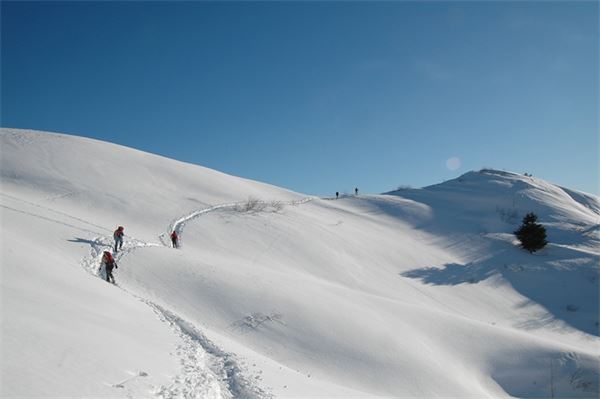 Piani d’Artavaggio (LC)