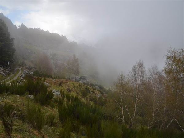 Sasso Canale - Alto Lario (CO)