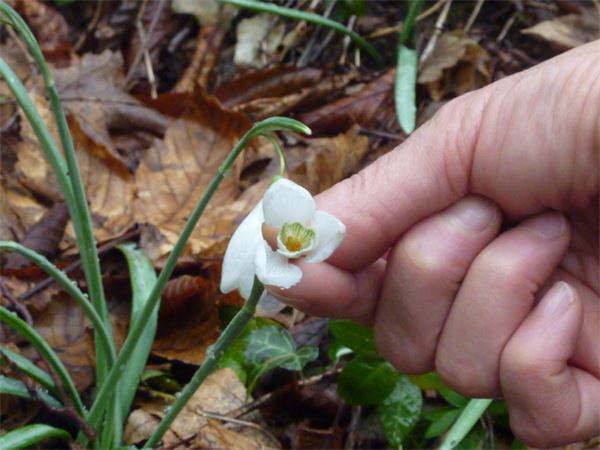 Bivacco Magnodeno (LC)