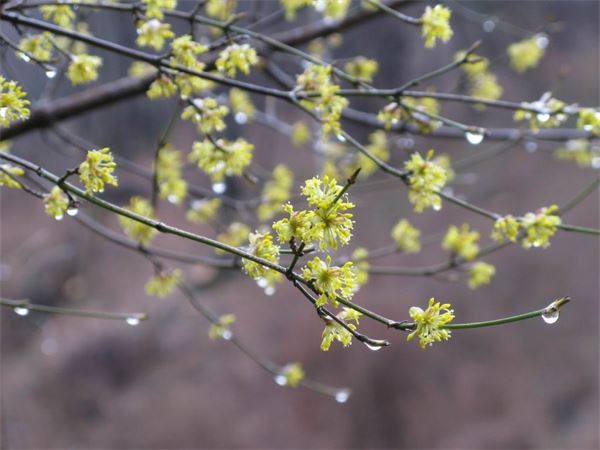 Bivacco Magnodeno (LC)