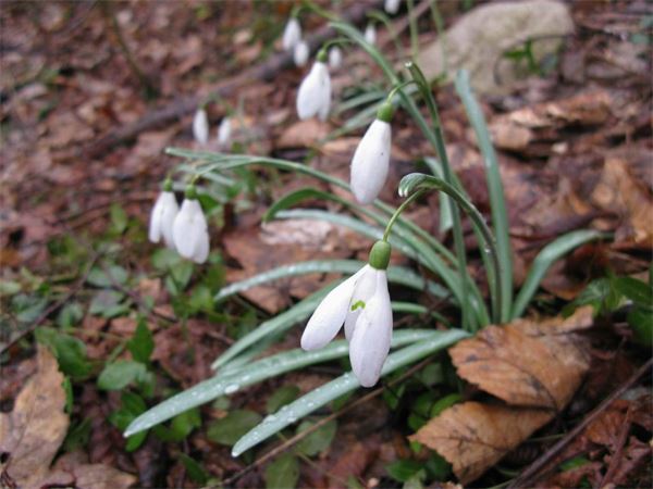 Bivacco Magnodeno (LC)
