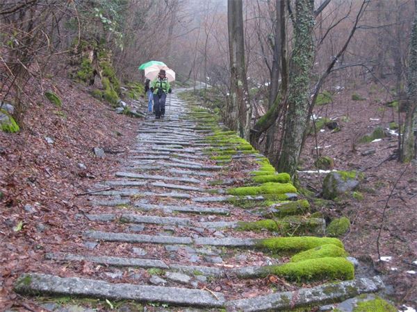 Traversata Brunate-Torno (CO)