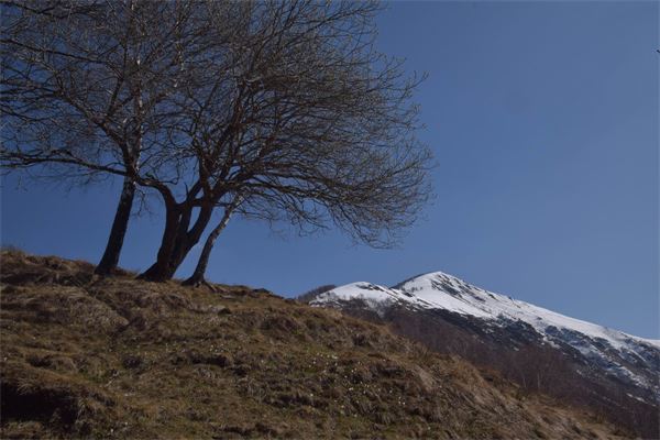 Dervio – Camaggiore (LC)
