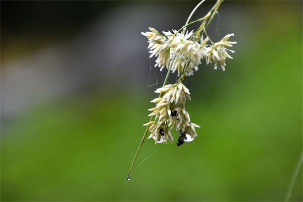Capanna Ponti (SO)