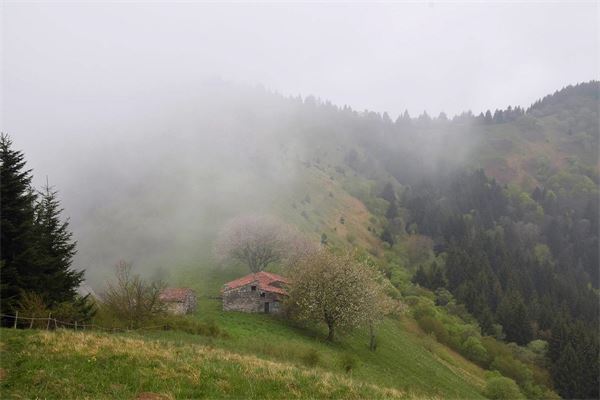 Cinque Cime (BS)