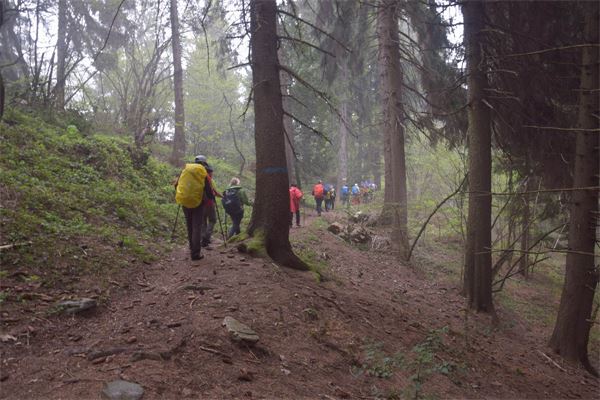 Cinque Cime (BS)