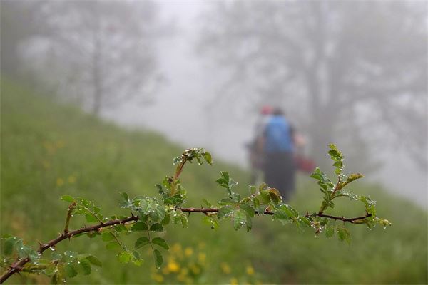Cinque Cime (BS)