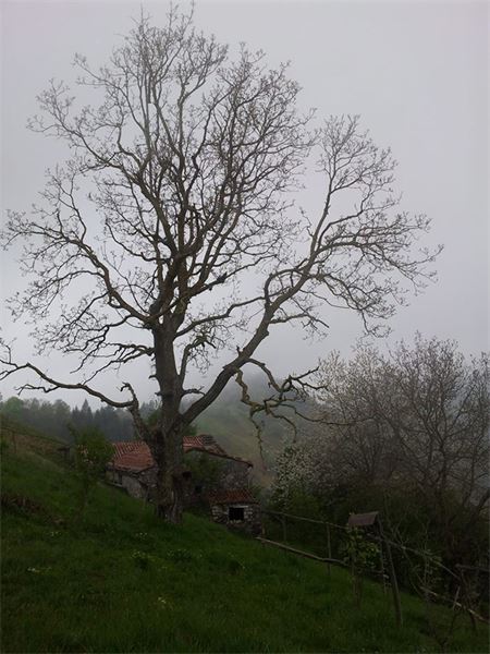 Cinque Cime (BS)