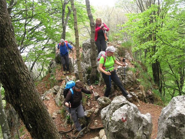 Monte Cornagera (BG)