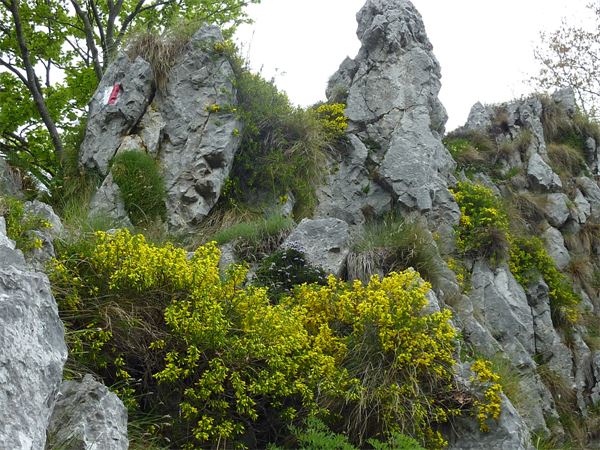 Monte Cornagera (BG)