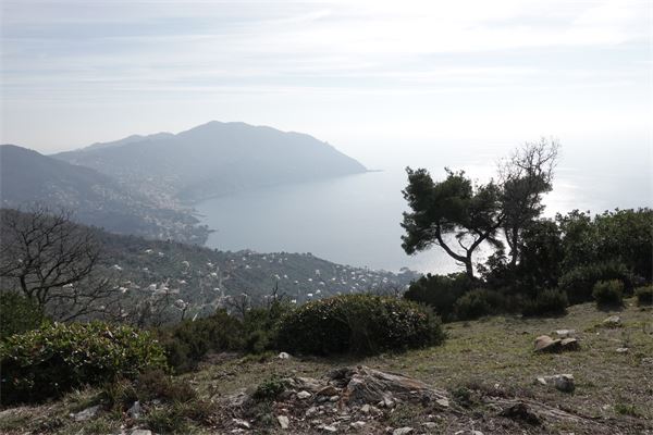 Monte Castelletto - Recco (GE)