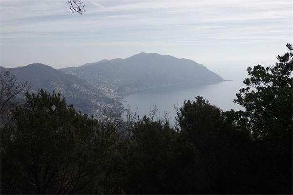 Monte Castelletto - Recco (GE)