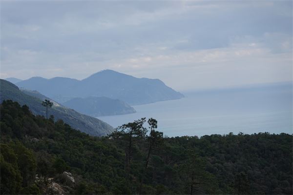 Monte Moneglia (GE) - Con CAI Cusano Milanino