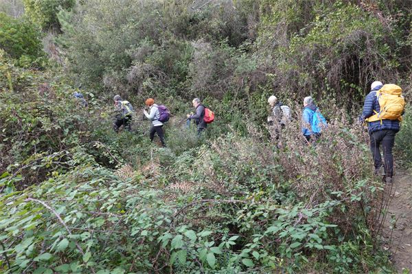 Monte Moneglia (GE) - Con CAI Cusano Milanino