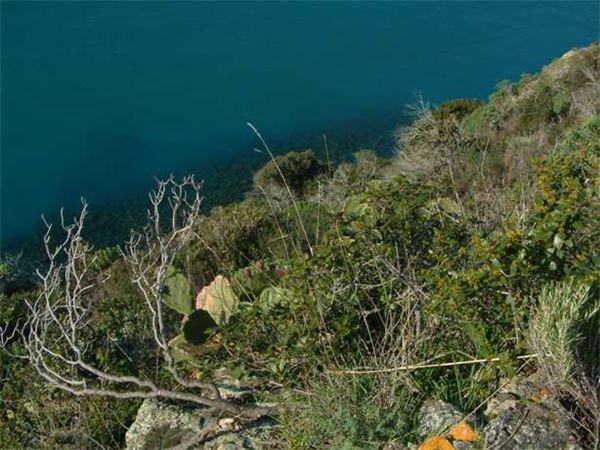 Monte Capenardo (GE) - Comm.sez.TAM