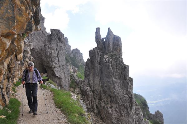 Rif. Papa - Pasubio (VI)
