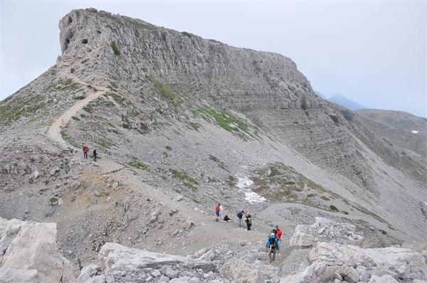 Rif. Papa - Pasubio (VI)