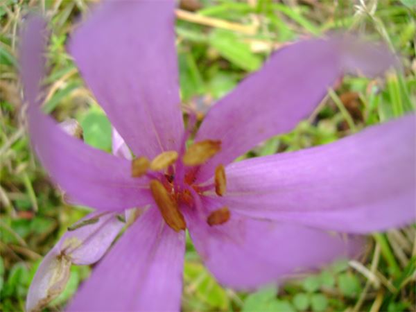Rif. Pisciadù – Dolomiti (BZ)