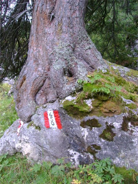 Rif. Pisciadù – Dolomiti (BZ)