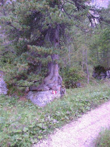 Rif. Pisciadù – Dolomiti (BZ)