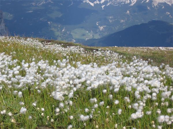 Rif. Pisciadù – Dolomiti (BZ)