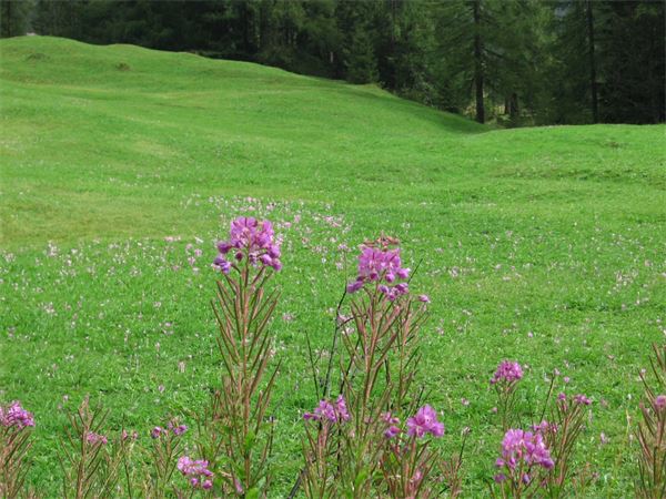 Rif. Pisciadù – Dolomiti (BZ)