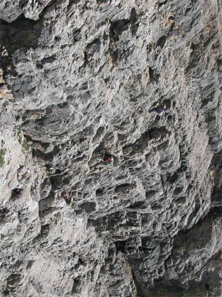 Rif. Giussani – Dolomiti (BL)