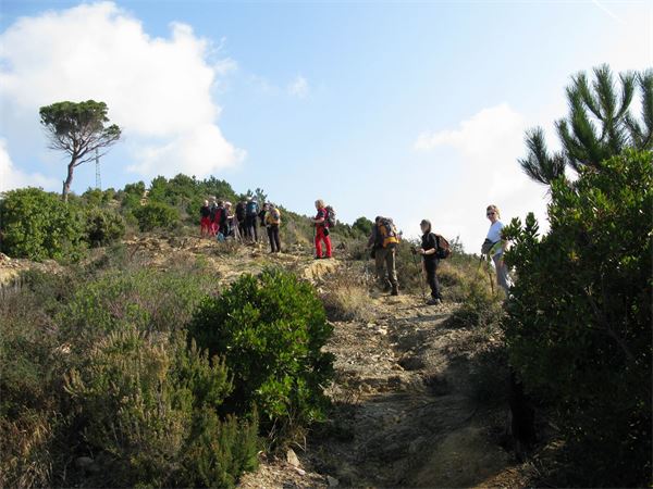 Monte Capenardo (GE) - Comm.sez.TAM