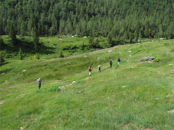 Rif. Laghi Gemelli (BG)
