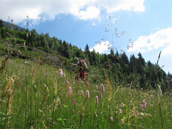Rif. Laghi Gemelli (BG)