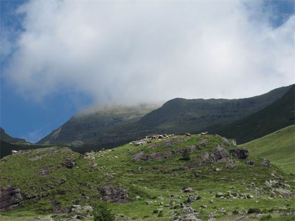 Rif. Laghi Gemelli (BG)