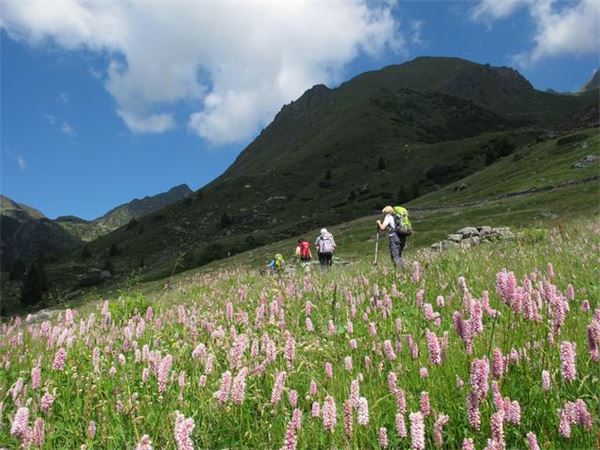 Rif. Laghi Gemelli (BG)