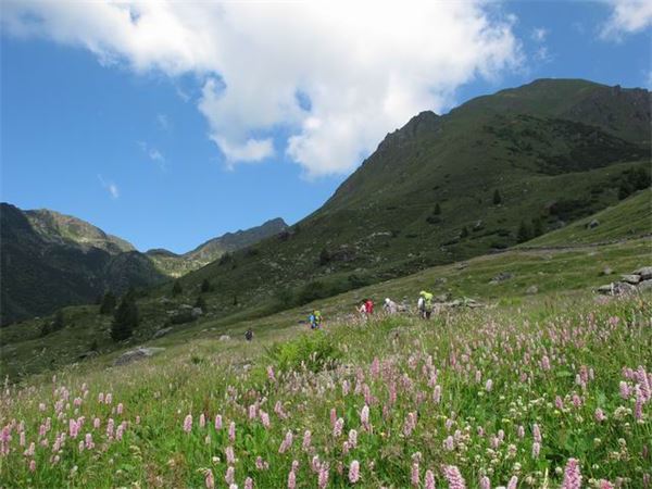 Rif. Laghi Gemelli (BG)