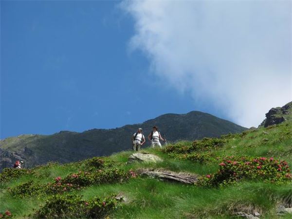 Rif. Laghi Gemelli (BG)