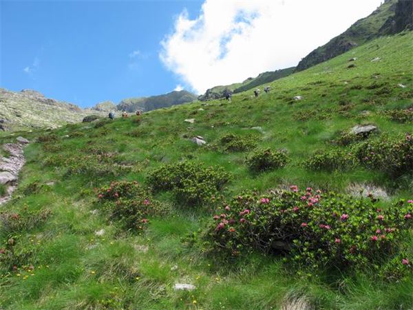 Rif. Laghi Gemelli (BG)