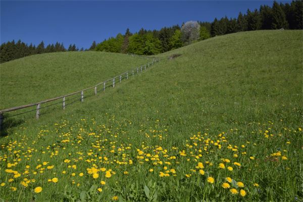Laghi di Cardeto (BG)