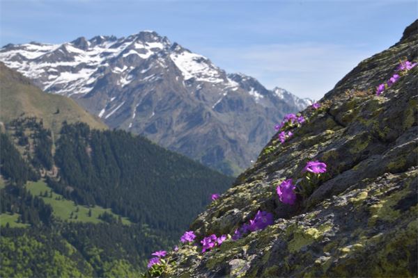 Laghi di Cardeto (BG)