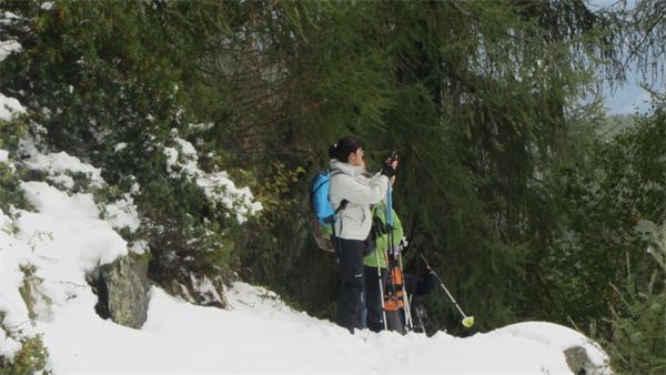 Monte Legnoncino (LC)